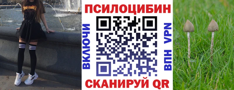 Псилоцибиновые грибы ЛСД  Катав-Ивановск 